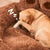 Pet Sofa Bed for Small Dogs, Washable Plush Mat, Medium Size for Puppies & Cats