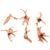 Natural Driftwood Cuckoo Roots Aquarium Decor - Reptile & Fish Tank Ornament