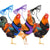 Fashion Chicken & Duck Vest Harness with Matching Collar & Lead