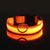 LED Dog Collar – Nylon Glow-in-the-Dark for Night Safety and Visibility
