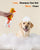 Yellow Duck Electric Pet Bath Foam Machine