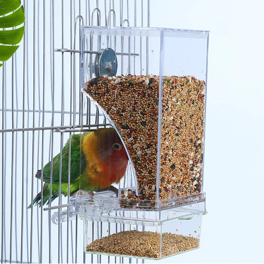 No-Mess Automatic Bird Feeder – Acrylic Seed & Drinker Container for Small to Medium Parakeets