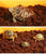 Coconut Mat Fiber Substrate - 600g Natural Bedding for Reptiles & Terrariums
