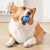 Smart Interactive Dog Toy Ball - USB Rechargeable Moving & Bouncing