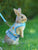 Rabbit Harness with Leash – Adjustable Mesh Vest Skirt for Bunny, Guinea Pig, and Small Pets