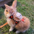 Cute Bunny & Guinea Pig Harness & Leash Set for Small Pets