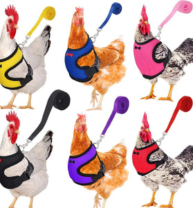 Fashion Chicken & Duck Vest Harness with Matching Collar & Lead