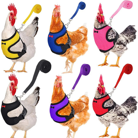 Fashion Chicken & Duck Vest Harness with Matching Collar & Lead