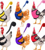 Fashion Chicken & Duck Vest Harness with Matching Collar & Lead