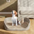 Portable Pet Litter Box – Training Toilet & Pad Holder for Small Dogs and Cats