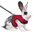 Multi-Color Breathable Pet Harness & Leash Set for Rabbits