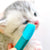 Puppy Joy Soft Pet Eye Care Brush for Dogs & Cats