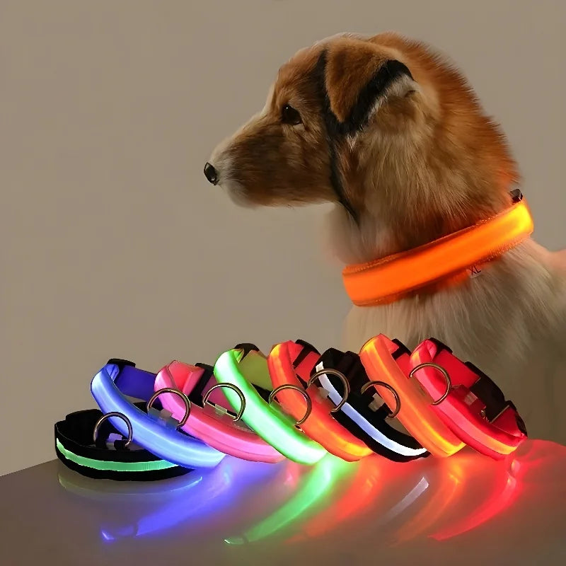 LED Dog Collar – Nylon Glow-in-the-Dark for Night Safety and Visibility