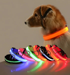 LED Dog Collar – Nylon Glow-in-the-Dark for Night Safety and Visibility