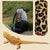 Reptile Sleeping Bag Set with Pillow & Blanket