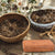 Natural Coconut Fiber Substrate - Reptile Bedding for Tortoises, Lizards & Terrariums