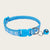 Pet Collar with Bell & Paw Print Pattern