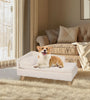 Nordic Pet Bed with Wood Legs & Cozy Pad