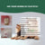 Tick Remover Tool – Durable, Waterproof & Rustproof Pen for Pets & Humans, Flea Control
