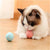 Smart Interactive Dog Toy Ball - USB Rechargeable Moving & Bouncing