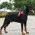 Adjustable Reflective Dog Harness & Leash Set for Small & Large Dogs