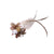 Hands-Free Cat Wand with Bell & Suction Cup - Interactive Hunting Toy