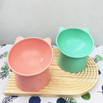 Anti-Choking Pet Food & Water Bowl with Tilted Design for Dogs & Cats