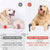 Elevated Waterproof Dog Bed, Off-Floor Design, Easy to Clean, Indoor/Outdoor Use, XL, Grey