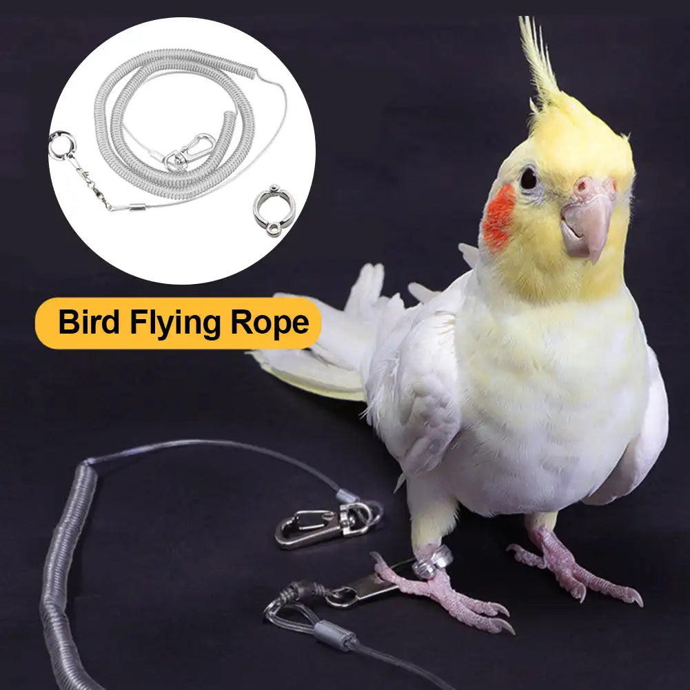3M/6M Parrot Bird Training Leash with Leg Ring - Anti-Bite Flexible Rope