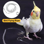 3M/6M Parrot Bird Training Leash with Leg Ring - Anti-Bite Flexible Rope