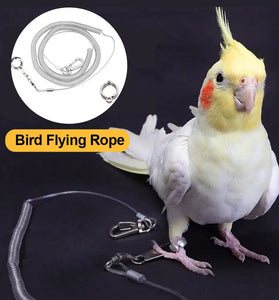 3M/6M Parrot Bird Training Leash with Leg Ring - Anti-Bite Flexible Rope