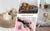 Round Dog Bed, Winter Warm Plush Basket, Washable for Small to Large Dogs & Cats
