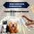 Flea & Tick Control Spray – Antiparasitic for Cats & Dogs, Stops Itching and Fighting