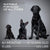 ABQP Rechargeable Ultrasonic Dog Repeller and Training Device