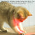 Rechargeable Motion-Activated Cat Laser Toy - Interactive Teaser for Cats & Dogs