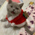 Christmas Cat Hooded Sweater – Warm Winter Pet Costume