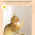 Rechargeable Motion-Activated Cat Laser Toy - Interactive Teaser for Cats & Dogs