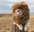 Cute Lion Mane Cat Wig Costume - Pet Costume for Cats and Small Dogs | Fancy Cosplay Accessory