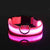 LED Dog Collar – Nylon Glow-in-the-Dark for Night Safety and Visibility