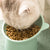Anti-Choking Pet Food & Water Bowl with Tilted Design for Dogs & Cats