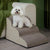 Pet Sponge Stairs – 2/3/4 Steps Anti-Slip Ramp for Small Dogs & Cats