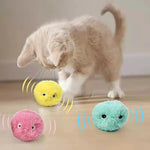Smart Interactive Catnip Ball - Electric Sounding Plush Toy