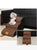 Pet Stairs for Small to Medium Dogs & Cats – 4-Layer Easy Access Ramp