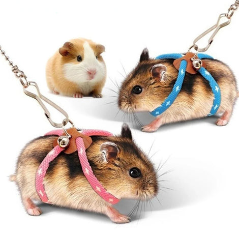 Adjustable Anti-Bite Training Leash with Bell for Birds & Small Pets