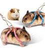 Adjustable Pet Traction Rope with Bell for Small Animals