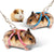 Adjustable Pet Traction Rope with Bell for Small Animals