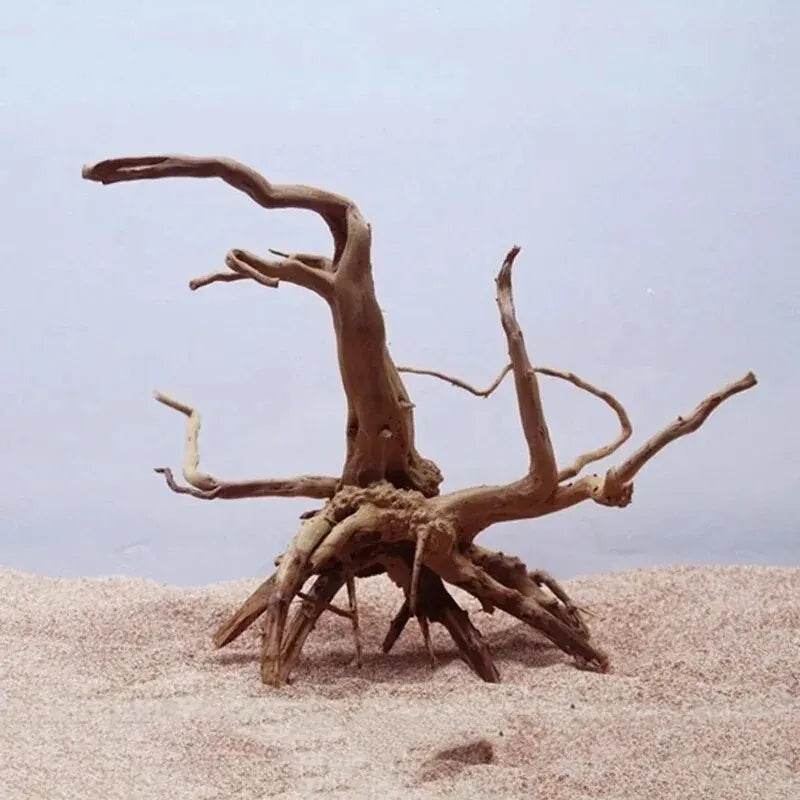 Natural Driftwood Cuckoo Roots Aquarium Decor - Reptile & Fish Tank Ornament