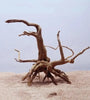 Natural Driftwood Cuckoo Roots Aquarium Decor - Reptile & Fish Tank Ornament