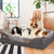 Jumbo Orthopedic Memory Foam Dog Sofa with Bolster, Waterproof, Removable Cover, and Elevated Cushion