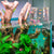 Negative Pressure Fish Tank Extender Bowl Decoration